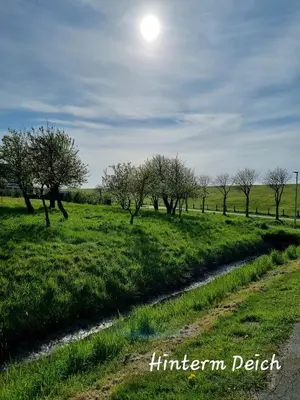 Naturlandschaft in der Nähe des Ferienhauses