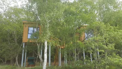 Ein Garten an der Unterkunft Kleines Baumhaus für Zwei