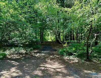 Naturlandschaft in der Nähe der Ferienwohnung