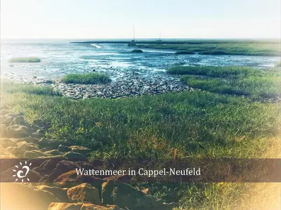 Naturlandschaft in der Nähe der Ferienwohnung