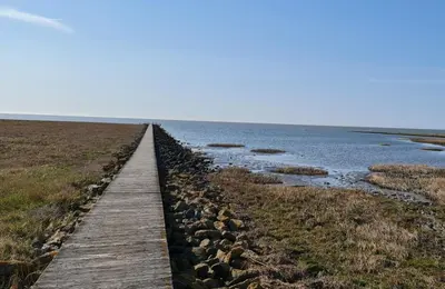 Naturlandschaft in der Nähe der Ferienwohnung