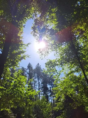 Naturlandschaft in der Nähe des Campingplatzes