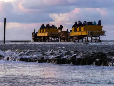 Grundriss der Unterkunft Holiday home North Sea sand