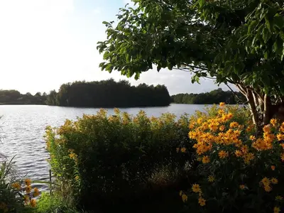 Grundriss der Unterkunft Holiday house house by the lake