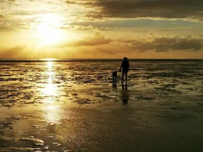 Grundriss der Unterkunft Sun, mudflats and sea