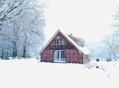 Urlaub mit Hund im Ferienhaus am Wingster Wald im Winter