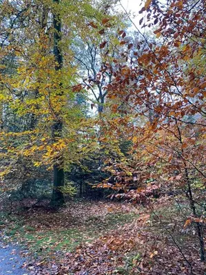 Naturlandschaft in der Nähe des Ferienhauses
