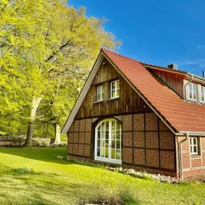 Urlaub mit Hund im Ferienhaus am Wingster Wald
