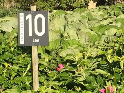 Ein Garten an der Unterkunft Buschsand Lee Comfortable holiday residence