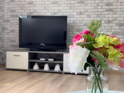 TV/Unterhaltungsangebot in der Unterkunft Haus Sonneneck 4