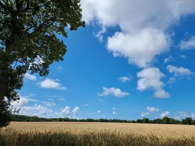 Naturlandschaft in der Nähe der Ferienwohnung