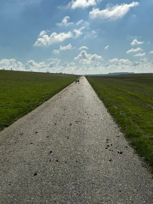 Naturlandschaft in der Nähe der Ferienwohnung