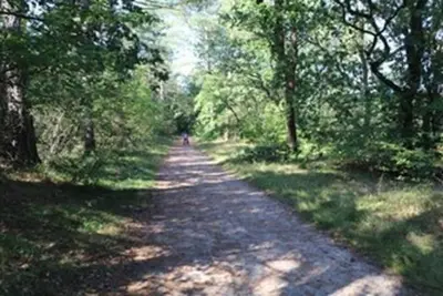 Naturlandschaft in der Nähe der Ferienwohnung