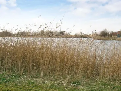 Naturlandschaft in der Nähe des Ferienhauses