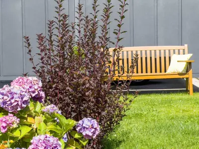 Ein Garten an der Unterkunft Elegantes Apartment Ankerplatz Duhnen