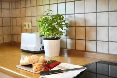Essen im Ferienhaus oder in der Nähe
