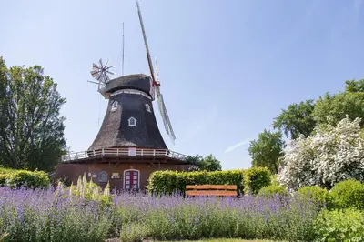 Ein Garten an der Unterkunft Hausboot 