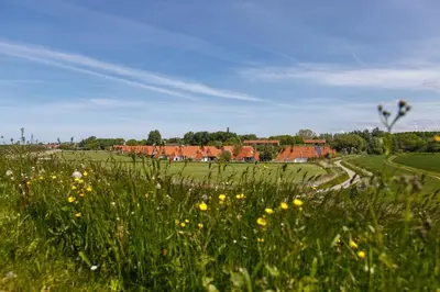 Naturlandschaft in der Nähe des Ferienhauses