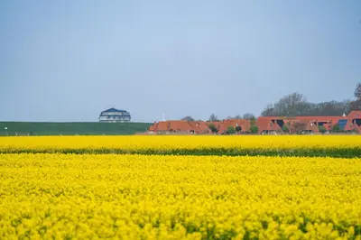 Naturlandschaft in der Nähe des Ferienhauses