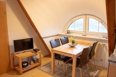 TV/Unterhaltungsangebot in der Unterkunft Appartement Achtern Diek 2-30