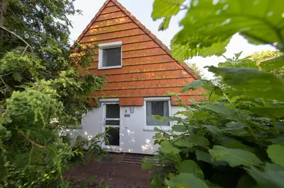 Ein Garten an der Unterkunft Ferienhaus Vogelsand 08