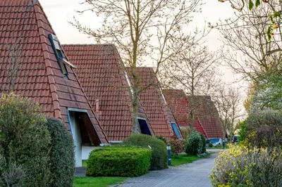 Ein Garten an der Unterkunft Ferienhaus Wittsand 11