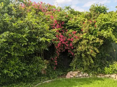 Ein Garten an der Unterkunft Fewo Muschel