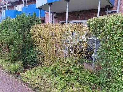 Ein Garten an der Unterkunft Kleiner Mövenschiß