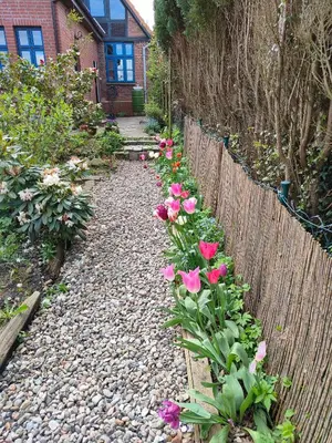 Ein Garten an der Unterkunft Tiny House - Kleines Glück auf dem Ostedeich