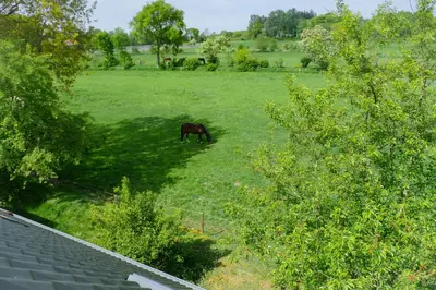 Ein Garten an der Unterkunft Butendieksweg B86C