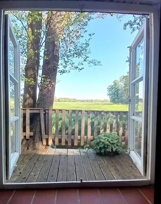 Ein Garten an der Unterkunft Ferienhaus Oppeln 21