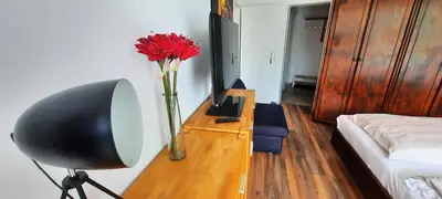 TV/Unterhaltungsangebot in der Unterkunft Haus Seehütte 303