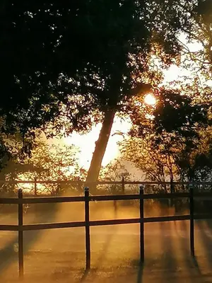 Blick auf den Sonnenuntergang/Sonnenaufgang von der Ferienwohnung aus oder aus der Nähe