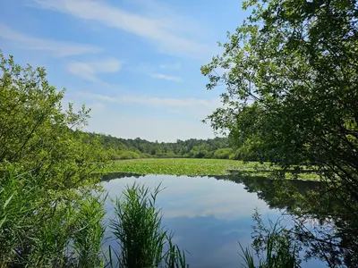 Naturlandschaft in der Nähe der Ferienwohnung