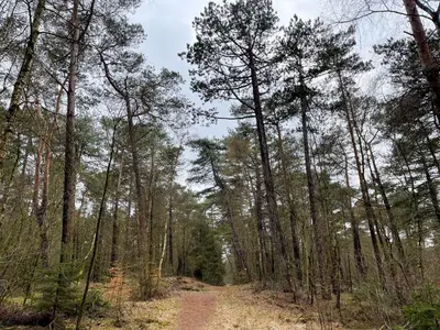 Naturlandschaft in der Nähe der Ferienwohnung
