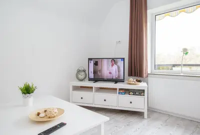TV/Unterhaltungsangebot in der Unterkunft Dünenhaus Steinmarne