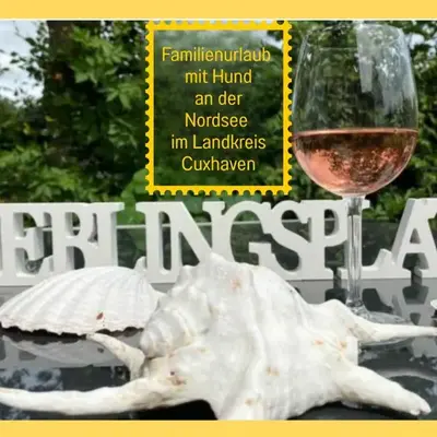Ferienhaus Odisheim - Hunde herzlich willkommen - hoher Zaun - Terrasse mit Überdachung - familienfreundlich