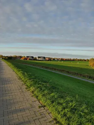 Naturlandschaft in der Nähe der Ferienwohnung