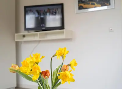 TV/Unterhaltungsangebot in der Unterkunft Apartmenthaus Frauenpreiss FeWo 54