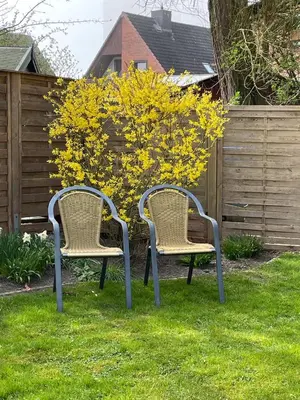 Ein Garten an der Unterkunft 