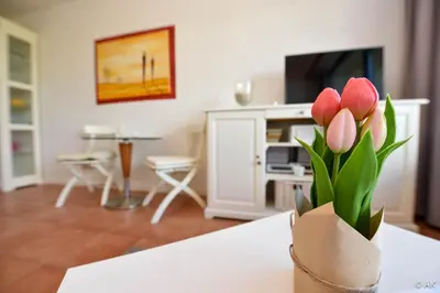 TV/Unterhaltungsangebot in der Unterkunft Haus 