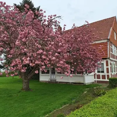 Gasthaus zur Grenze