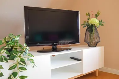 TV/Unterhaltungsangebot in der Unterkunft Sinfonia