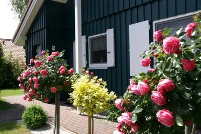 Ein Garten an der Unterkunft 5 Personen Ferienhaus mit Kaminofen in erster Reihe hinterm Deich in Otterndorf