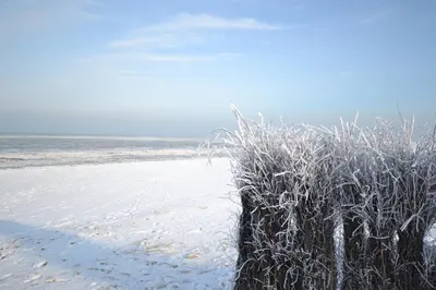 Naturlandschaft in der Nähe der Pension