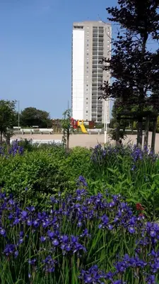 Ein Garten an der Unterkunft Tideblick