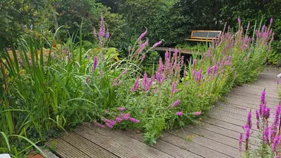 Ein Garten an der Unterkunft 4 Sterne Ferien Martens