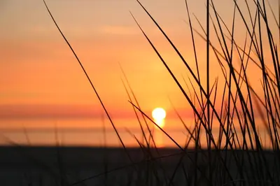Blick auf den Sonnenuntergang/Sonnenaufgang von der Ferienwohnung aus oder aus der Nähe