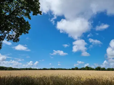 Naturlandschaft in der Nähe der Ferienwohnung