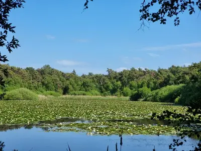 Naturlandschaft in der Nähe der Ferienwohnung
